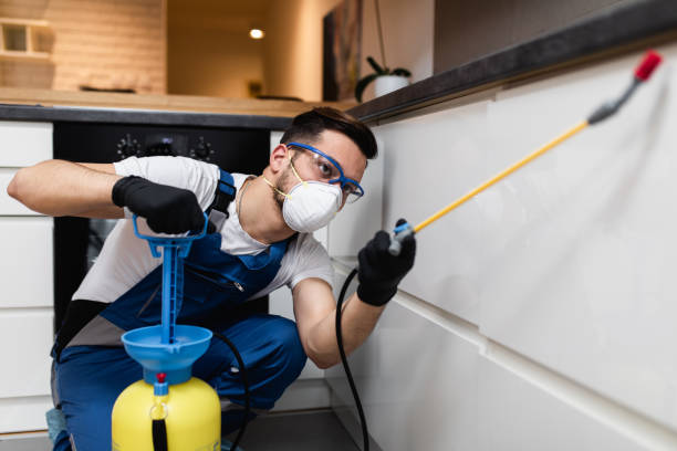 Best Commercial Pest Control Services  in Guilford Center, CT