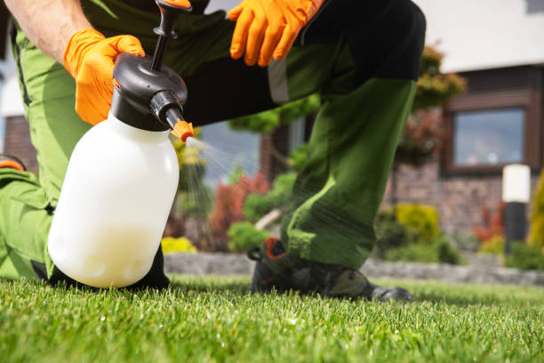 Best Wildlife Control Services  in Guilford Center, CT