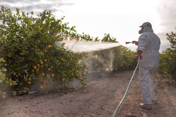 Best Affordable Pest Control Services  in Guilford Center, CT