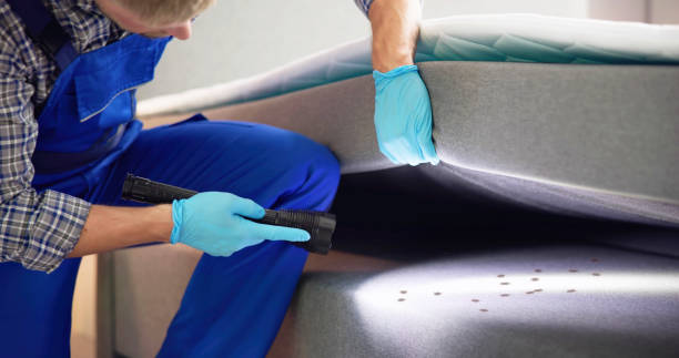 Best Pest Prevention Services  in Guilford Center, CT