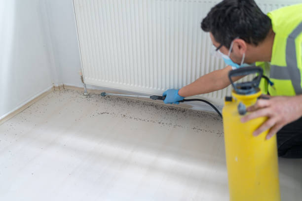 Best Residential Pest Control  in Guilford Center, CT